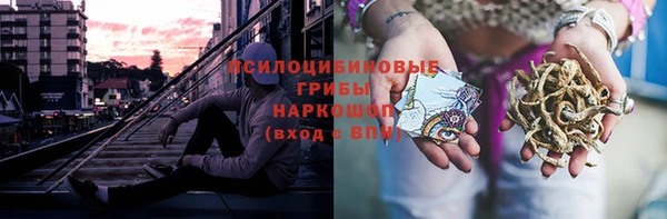 хмурый Горняк