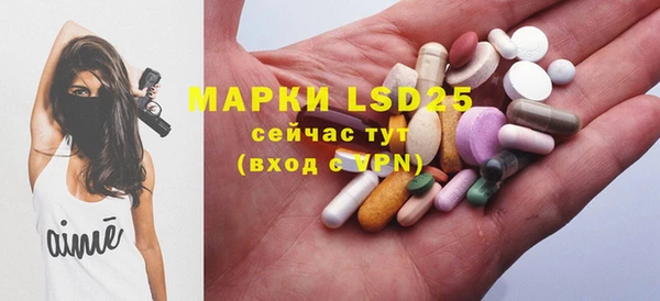 PSILOCYBIN Гусиноозёрск