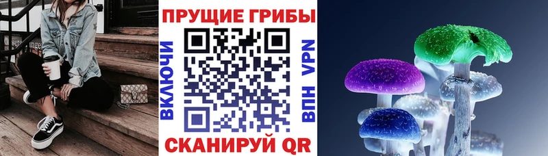 Галлюциногенные грибы Psilocybe  наркотики  Дзержинский 